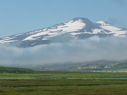 Akur29